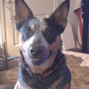 Meet your Posher, Sammye